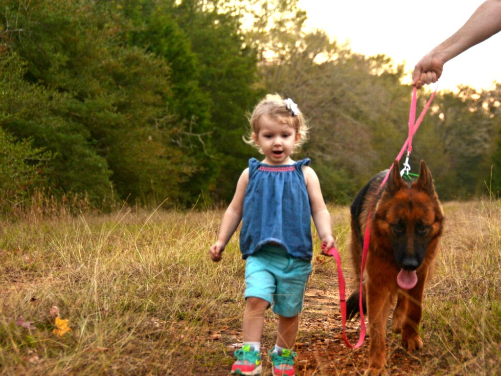 German Shepherds with Children