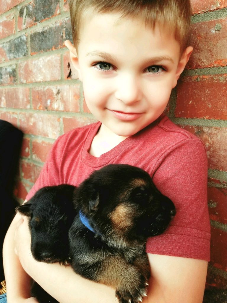 German Shepherds with Children